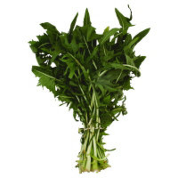 Dandelion Greens Bunch