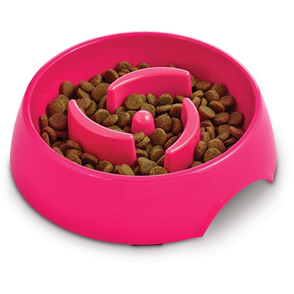 Harmony Packed Small Dog Slow Feeder Bowl 0 65 Lb Instacart