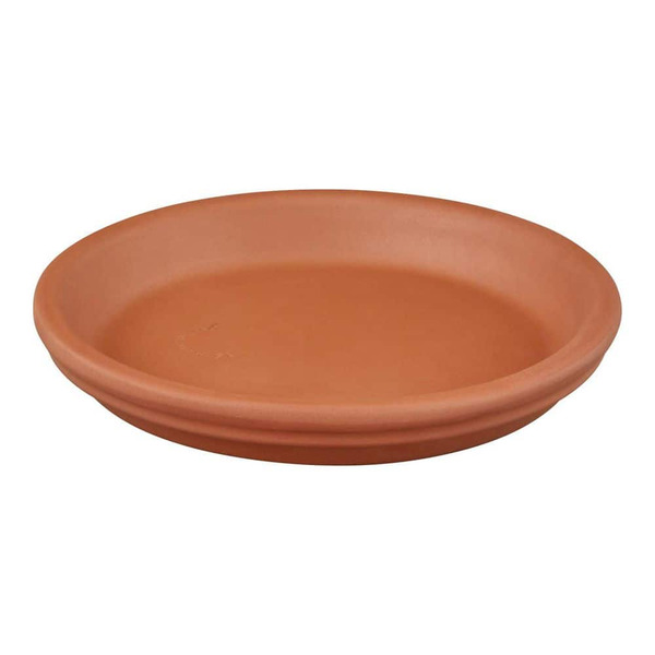 Vigoro 6 In. W X 1 In. W Small Orange Terracotta Plant Saucer