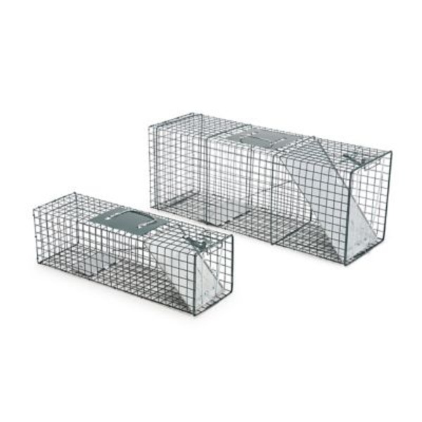 County Line 1-Door Catch-and-Release Live Animal Traps, 2-Pack