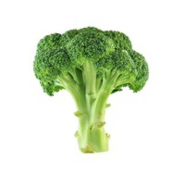 Broccoli