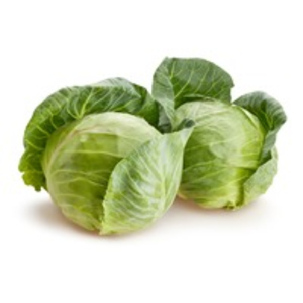 Green Cabbage