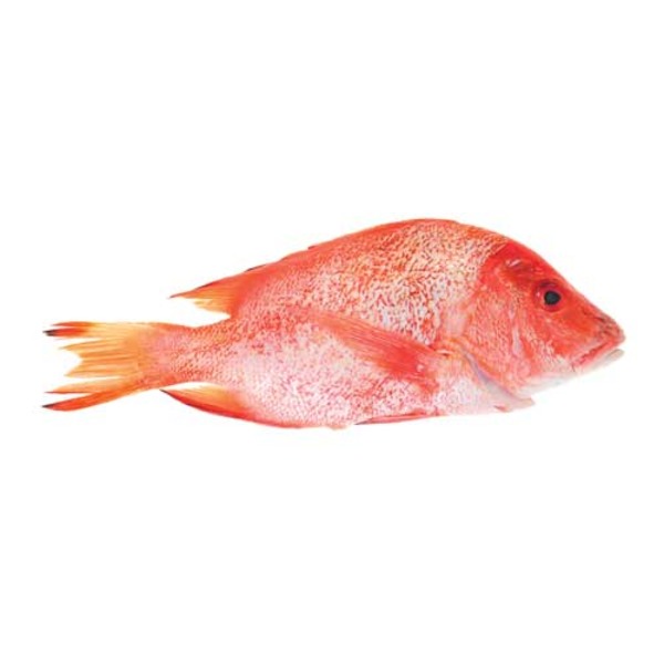 Red Snapper 赤/ピンク　ただいま値下げ中‼️ Red Snapper Same-Day Delivery | HMart