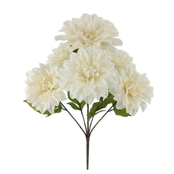 Ashland Dahlia Bush