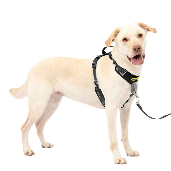 PetSafe 5 Points of Adjustment for Perfect Fit Easy Walk Comfort No-Pull Dog Harness, Large - Black