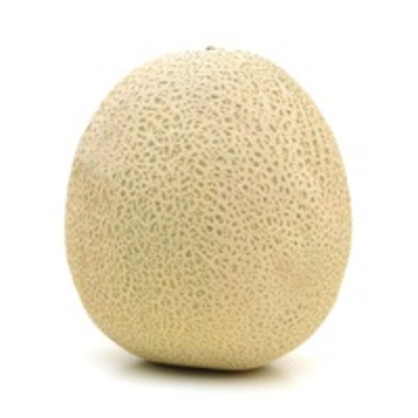 Cantaloupe