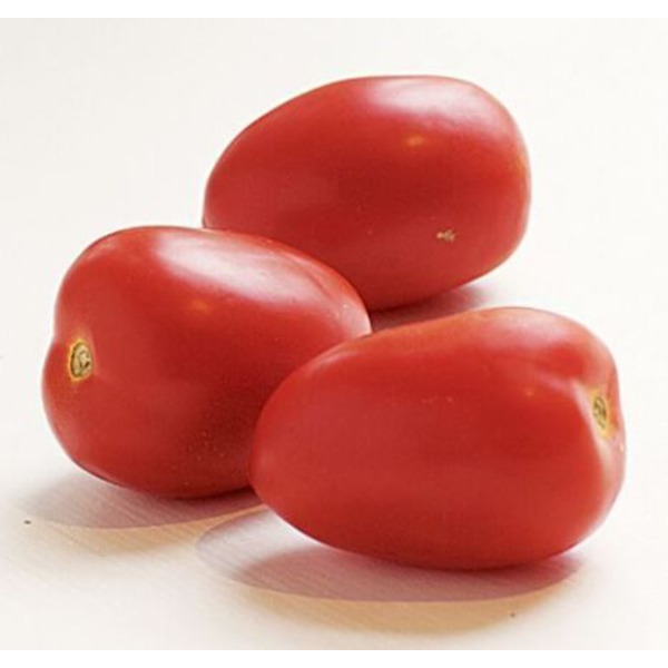 Plum Tomato - 5 lbs