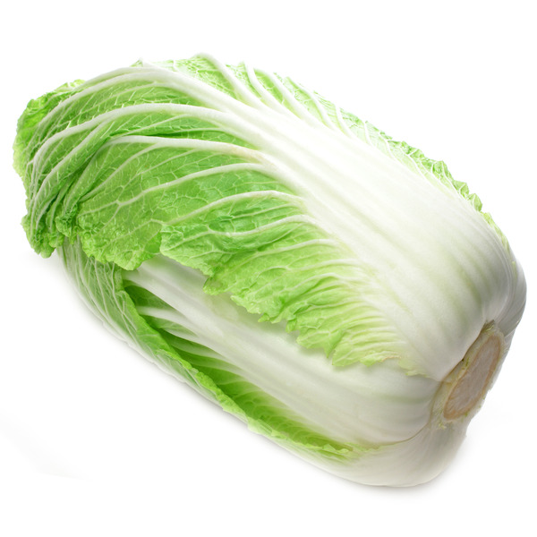 Napa Cabbage