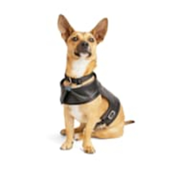 Youly Biker Dog Harness - Black