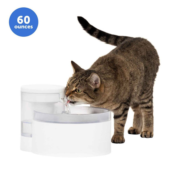 PetSafe Outlast Pumpless Pet Fountain For Cat Bowl, 7.5 Cups