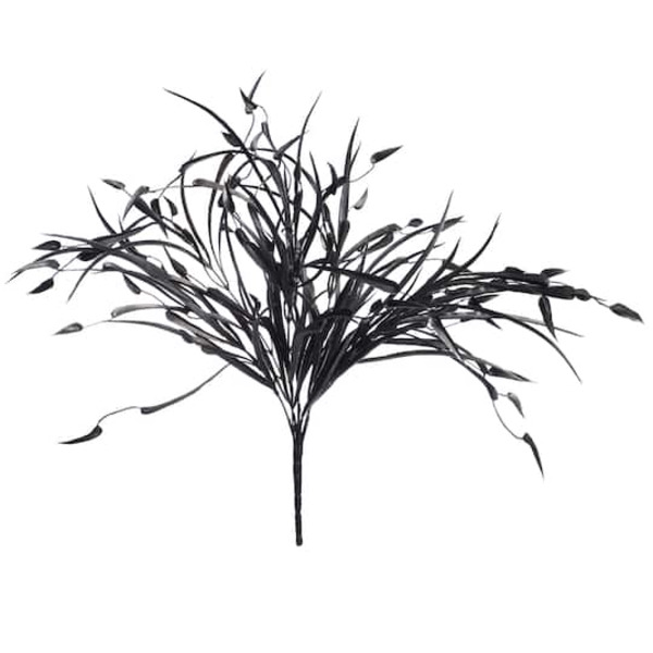 Ashland Black Grass Bush