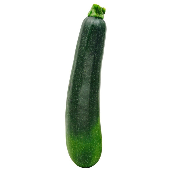 Courgettesauteさま 専用 Squash, Grey Zucchini Organic Seeds | Organic Zucchini