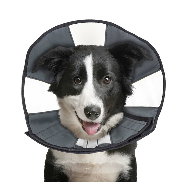 Zen Pet ProCone Soft Recovery Collar Large