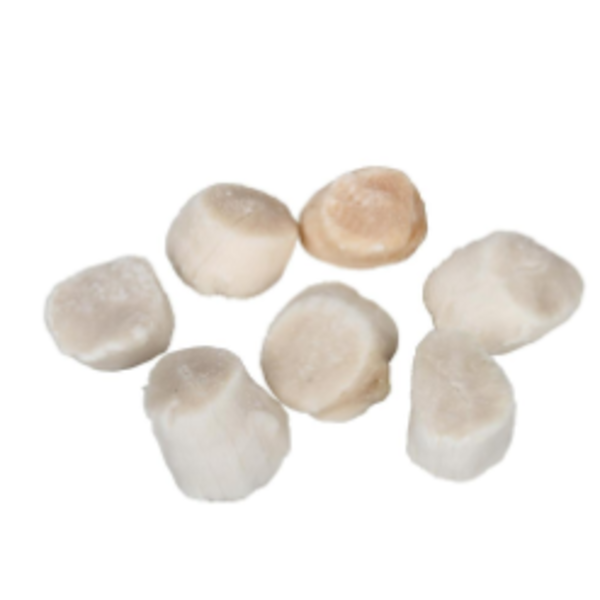 Dry Scallops 10/20, 2 lb, Peruvian