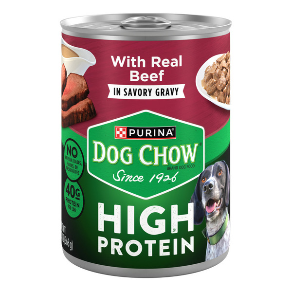 Purina Dog Chow High Protein Wet Dog Food With Real Beef In Savory Gravy  Wet Dog Food