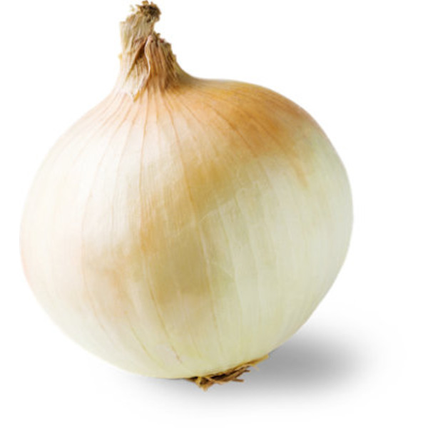 Organic Sweet Onion
