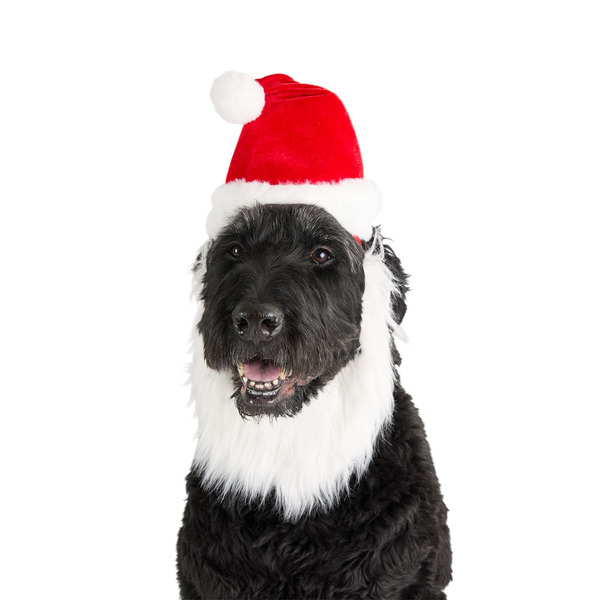 Merry & Bright Holiday Santa Dog Headband, Large/X Large