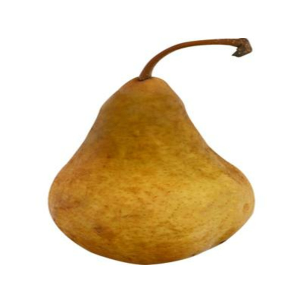 Bosc Pear