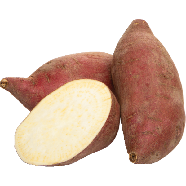 Murasaki Sweet Potato