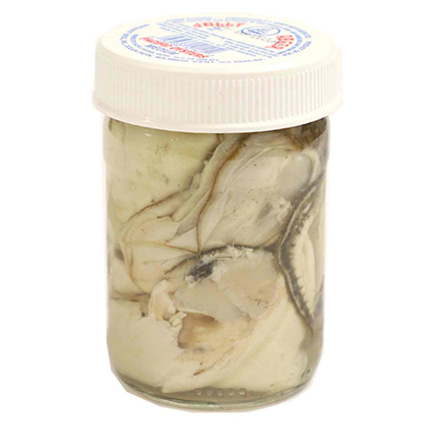 Ekone Oyster Company Medium Fresh Oysters