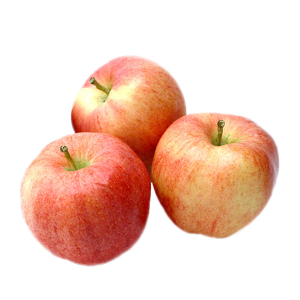 Gala Apple