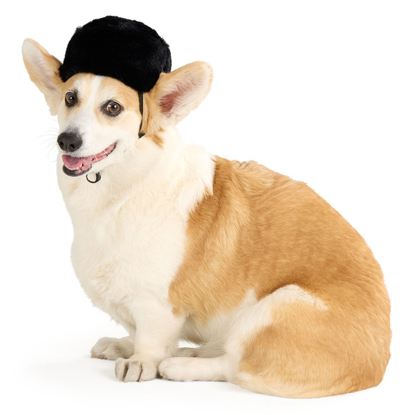 LIFE OF THE PARTY Après-Ski Dog Hat, L/XL - Black