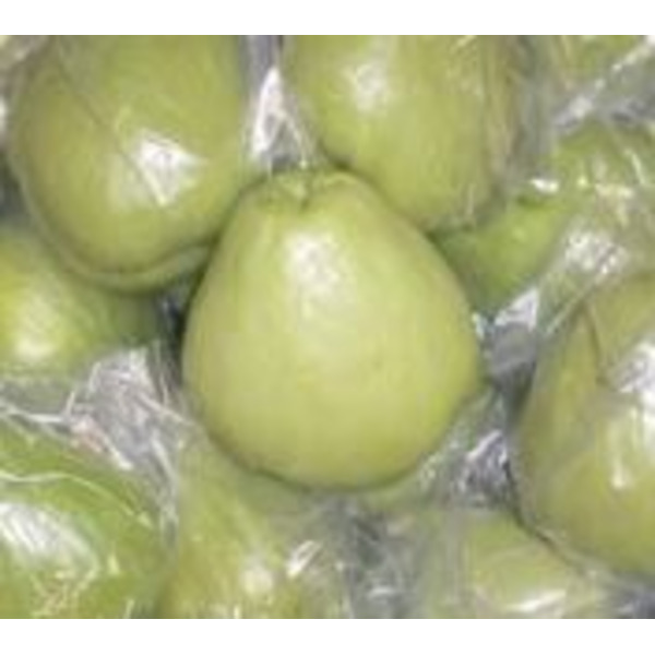 Imported Chayote - 36 lbs