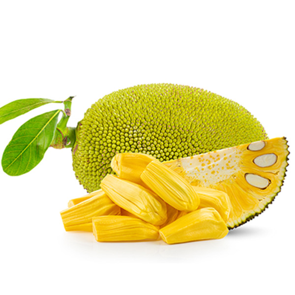 Jack Fruit