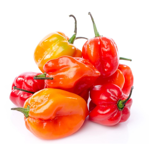 HABANERO PEPPER - 2LBS