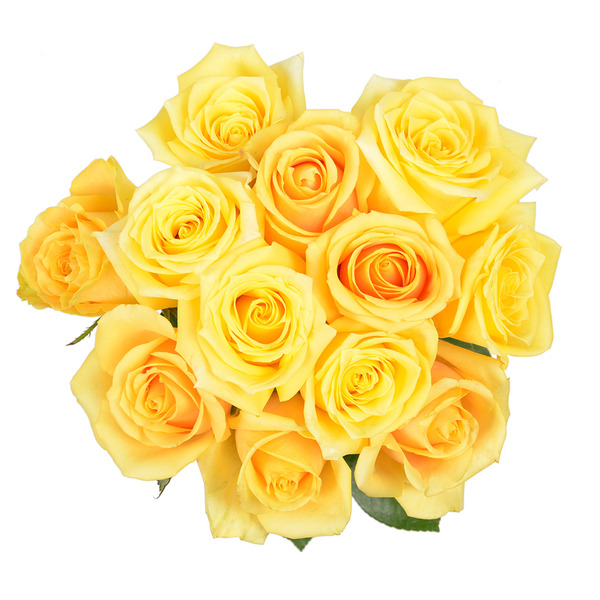 Passion Growers Yellow Roses Same-Day Delivery | Cardenas Markets