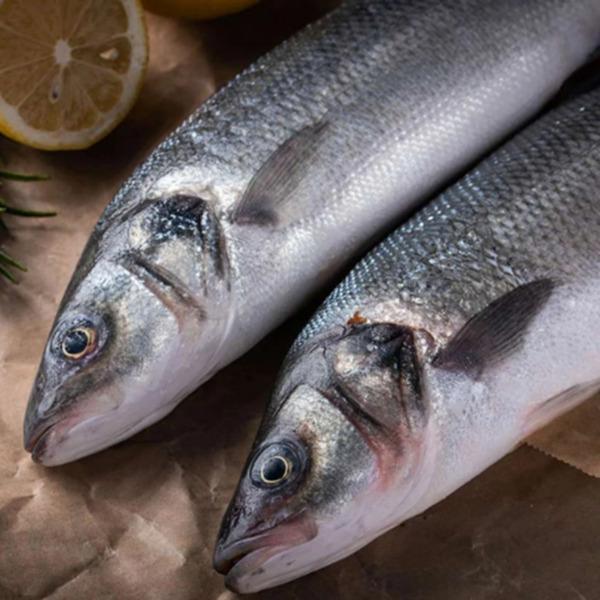 Sea Bass Branzino