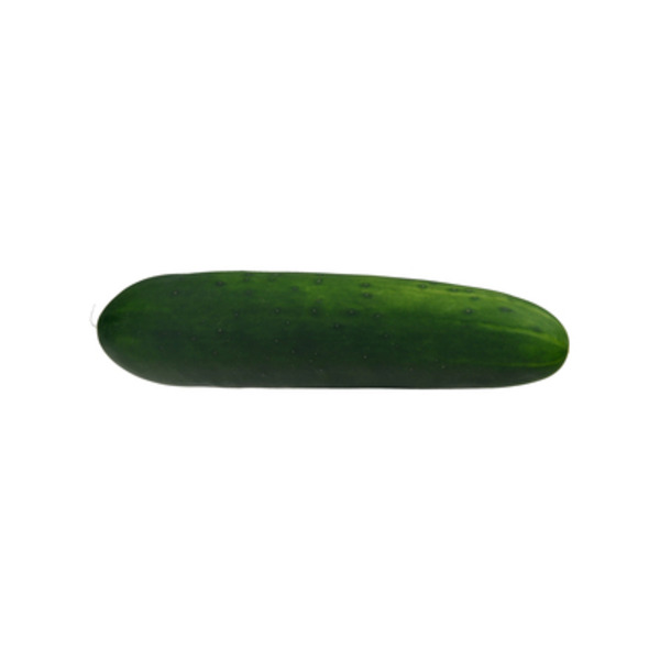 Organic Cucumber