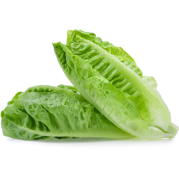 Romaine Petite