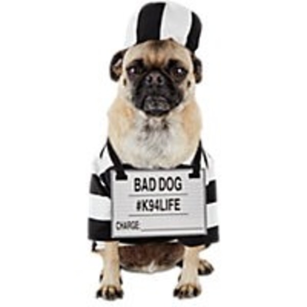 Funlight Medium Prisoner Costume