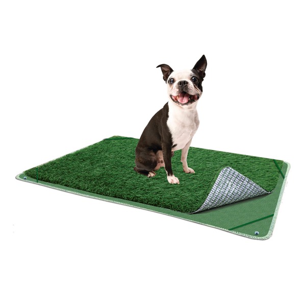 pooch pads petco