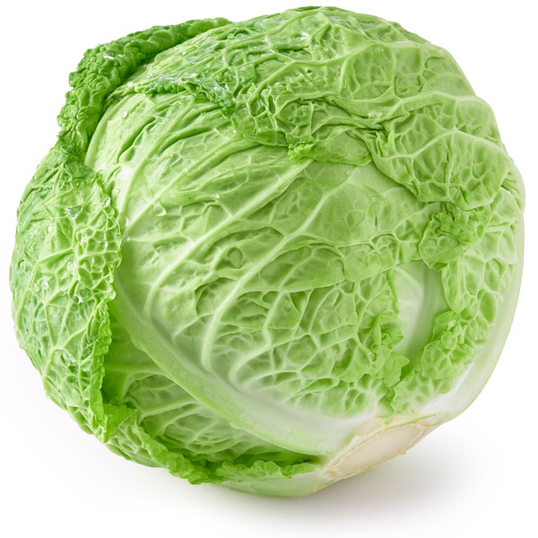 Green Savoy Cabbage