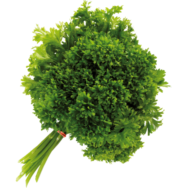 Organic Curly Parsley