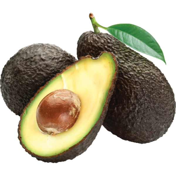 Organic Large Hass Avocado