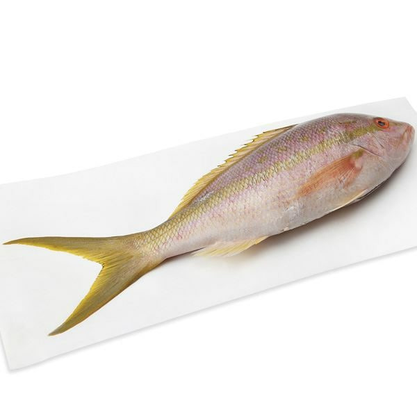 Yellowtail Snapper, Whole, Mediumfresh, Wild Same-Day Delivery or ...