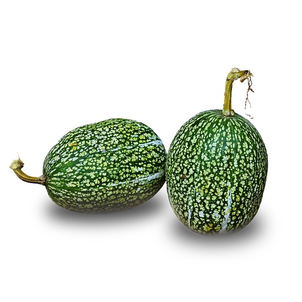 M Chilacayote Squash
