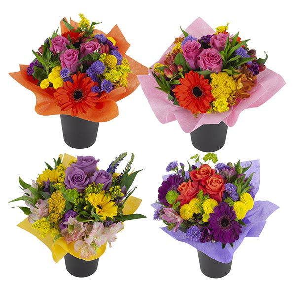 Wegmans Roses Wegmans Jolo Flowers Petite Bouquet (20 Stem) Same-Day Delivery or ...