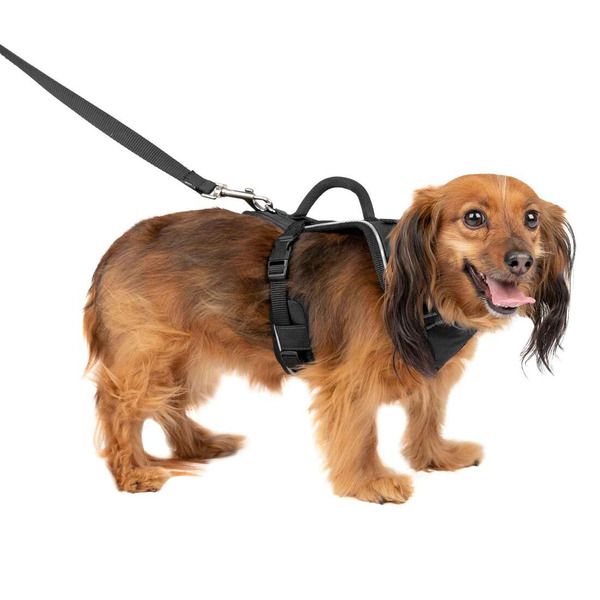 Easy Walk Black Extra Small Pet Safe Easy Sport Harness
