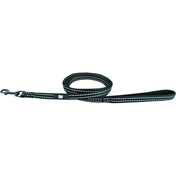 Play On Nylon Adventure Reflect Dog Leash, Small - Black