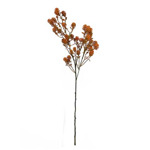 Ashland Orange Thistle Stem