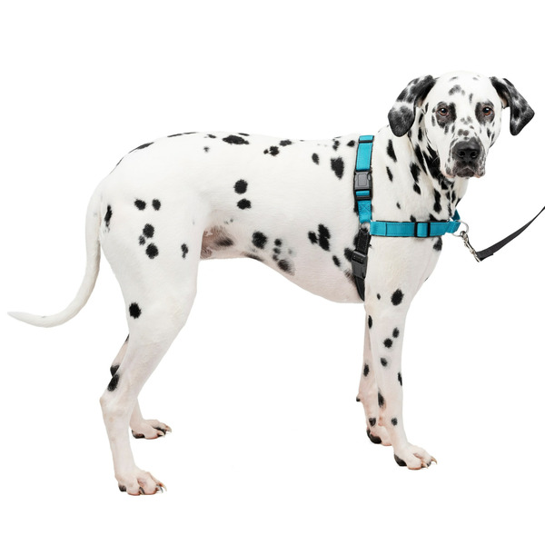 PetSafe Deluxe Easy Walk No Pull Harness, Large, Ocean