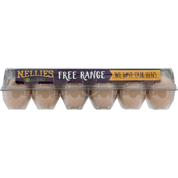 Nellie's Free Range Eggs, Brown, Free Range, Large, Grade A