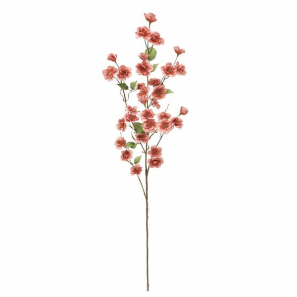 Ashland Flowering Blossom Stem