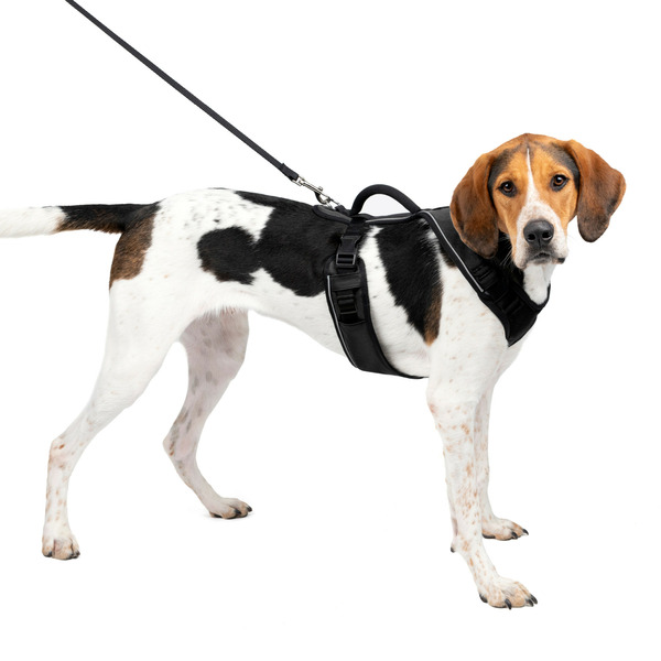 PetSafe EasySport Harness, Large, Black