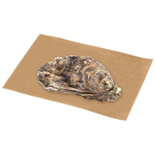 Live Blue Point Oysters