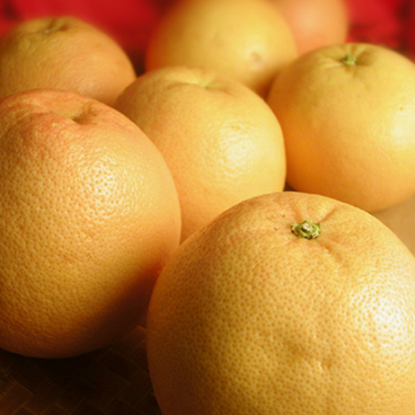 Grapefruit